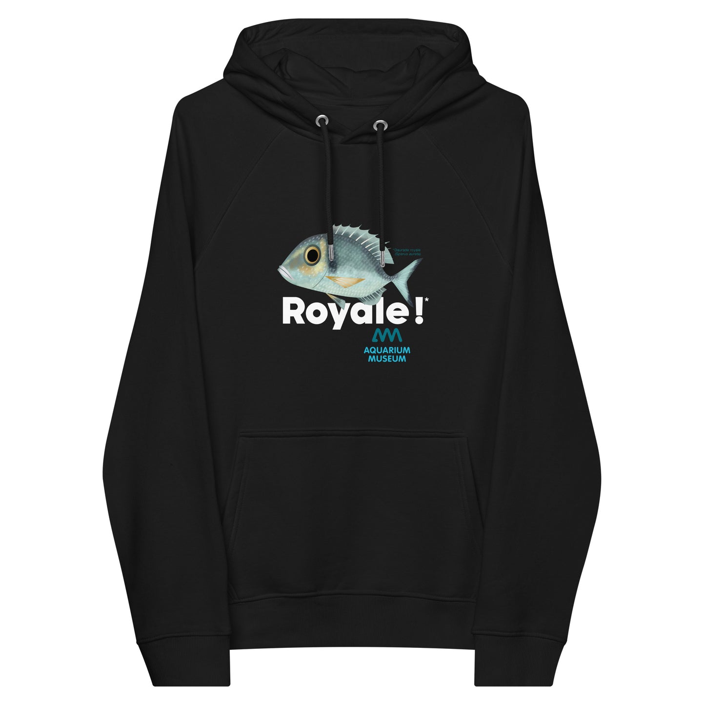 Pull à capuche Daurade royale - Royale