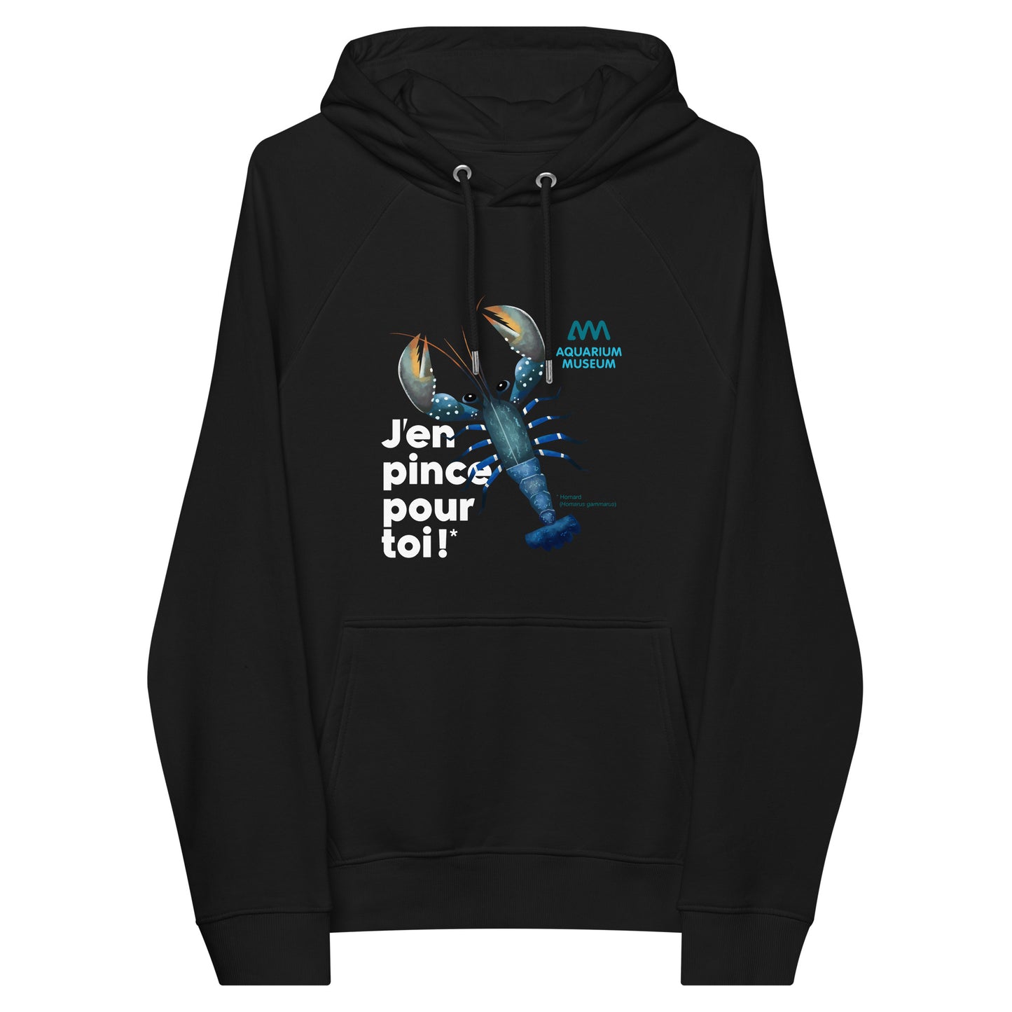 Pull à capuche Homard - J’en pince pour toi