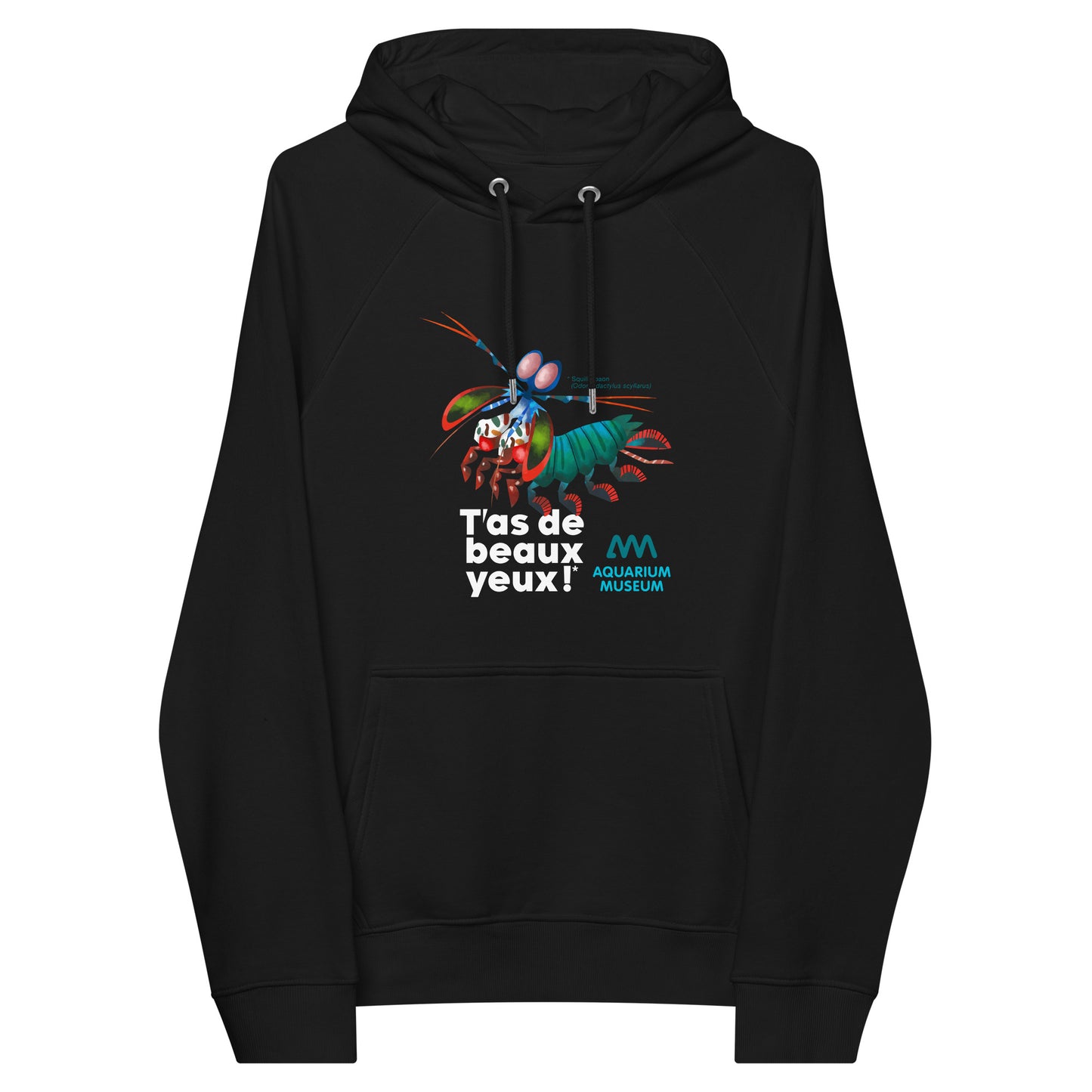 Pull à capuche Squille paon - T’as de beaux yeux