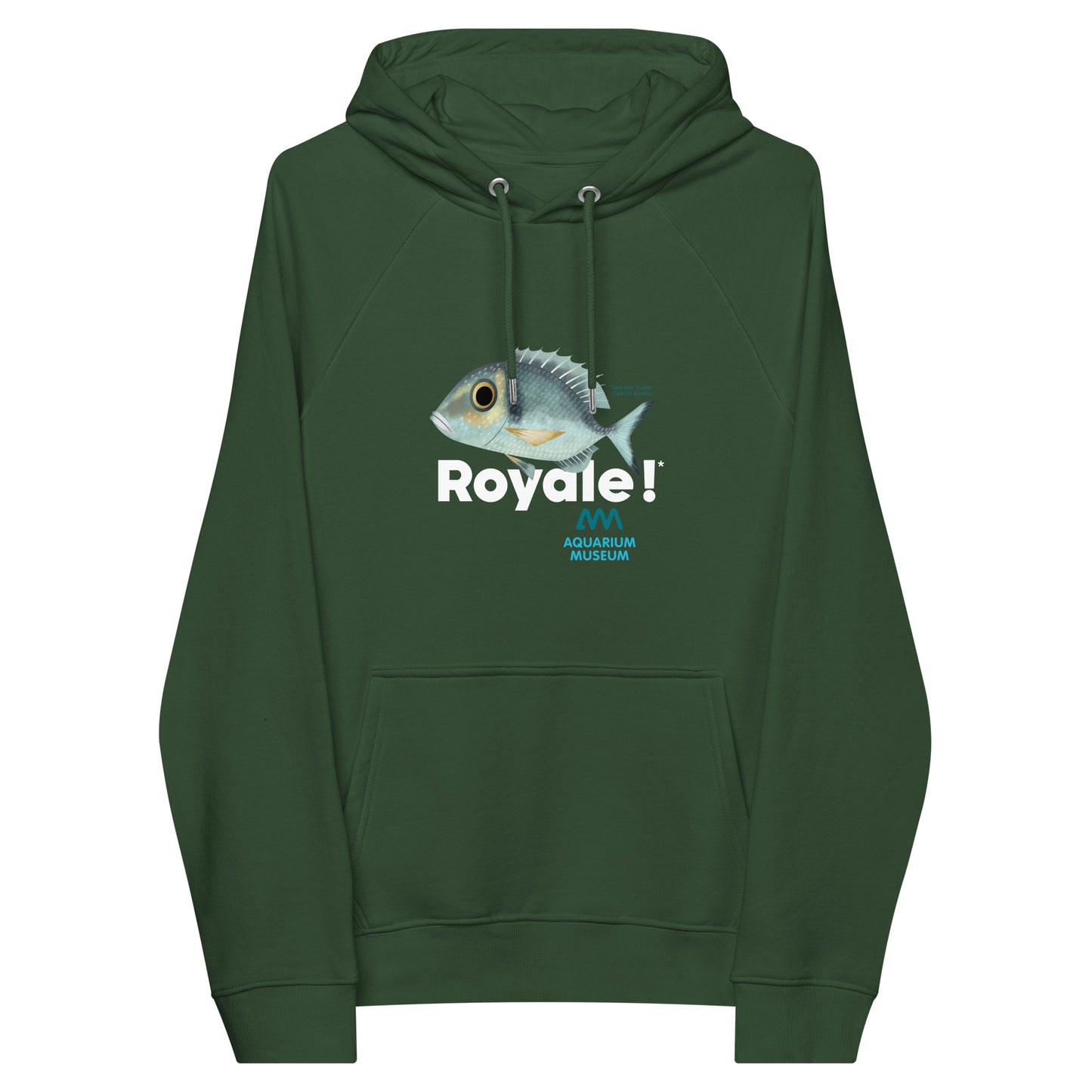 Pull à capuche Daurade royale - Royale