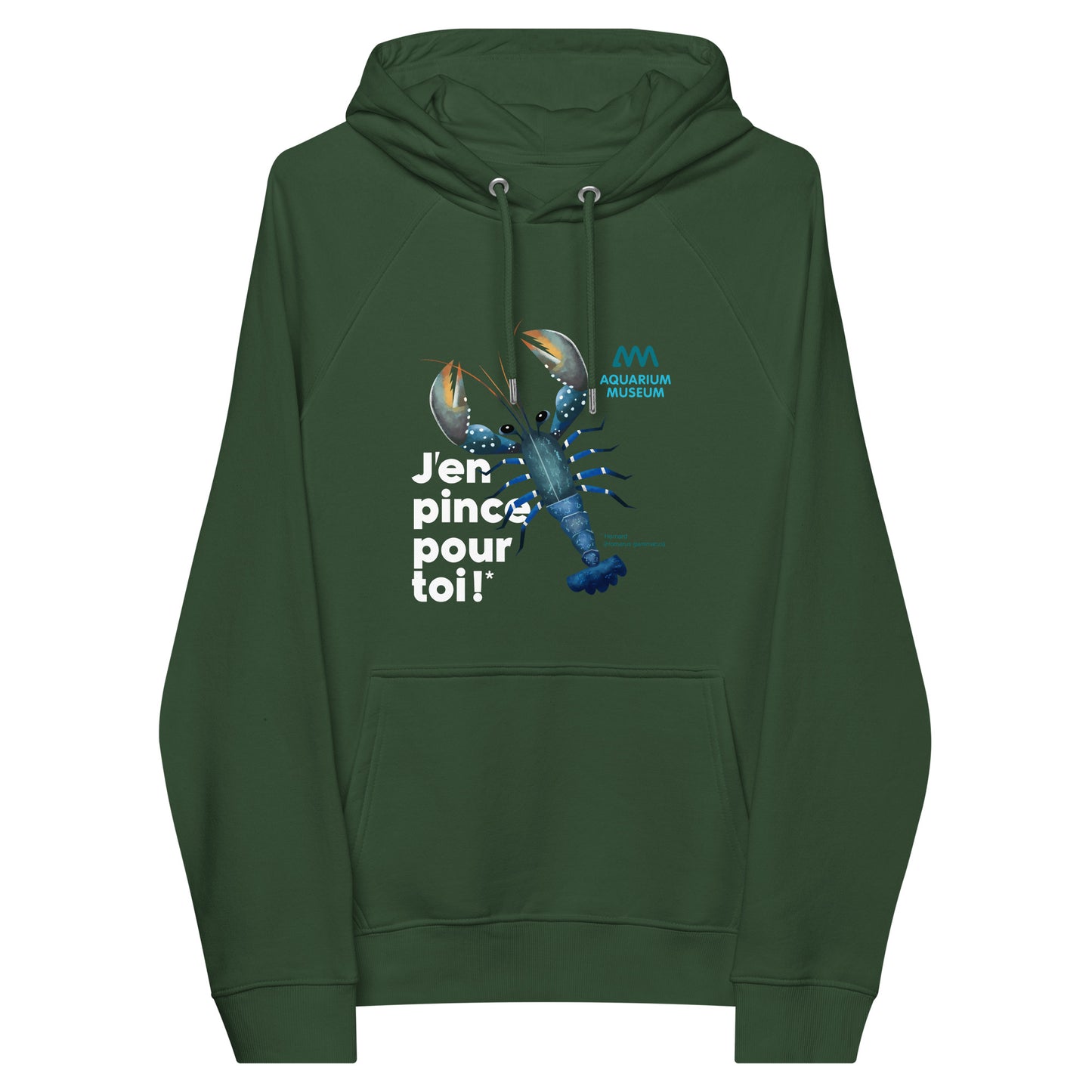 Pull à capuche Homard - J’en pince pour toi