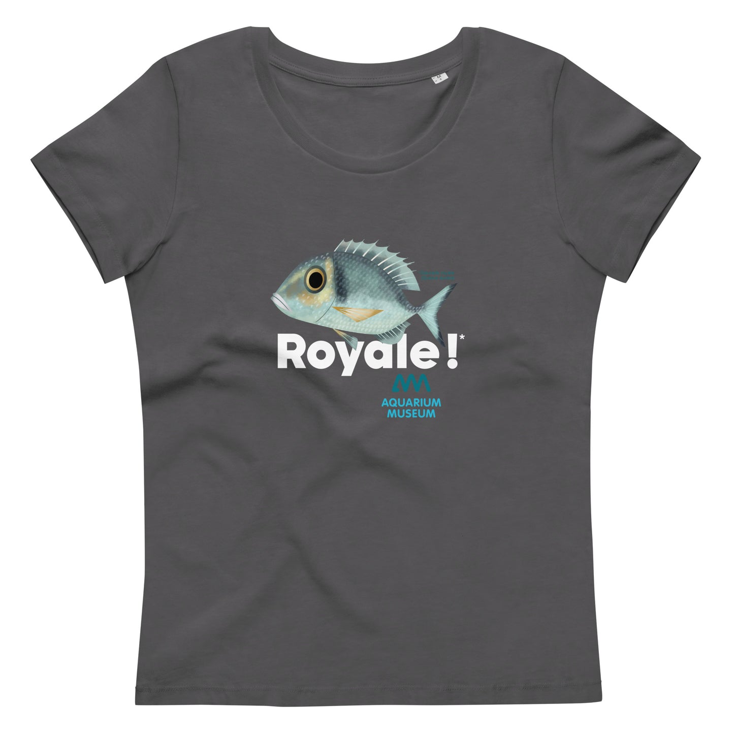 T-shirt Daurade royale - Royale